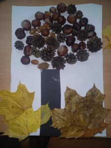 drzewo z kasztanów i liści