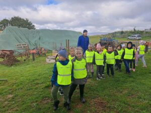 Zbieranie ziemniaków