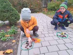 Kreatywna Matematyka - Znikające kasztany