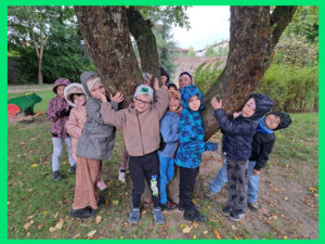 Przytul się do drzewa