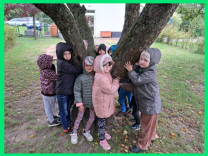 Przytul się do drzewa